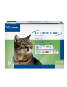 Effipro Duo Gatto 4 Pipette